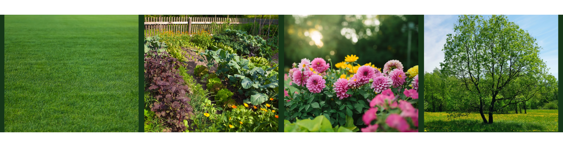 Horticulture
